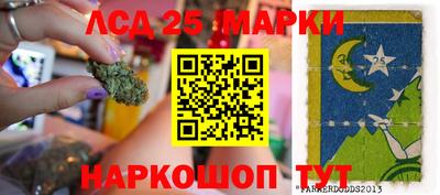 мяу мяу мука Кингисепп